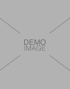 Demo Image