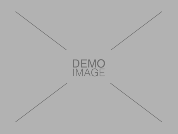 Demo Image 2